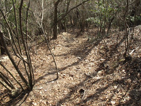 20140103hike (230)